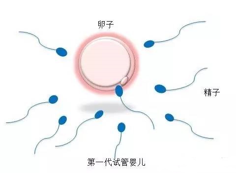 实验室设备
